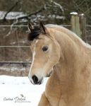 Huch... (Copyright: Carina Pietsch)