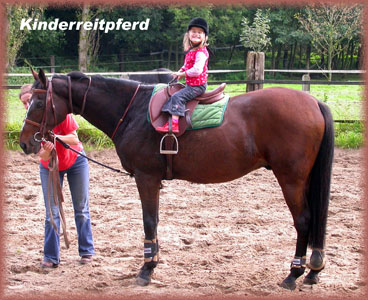 Courage Kinderreitpferd