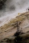 Yellowstone NP, Mammoth Hot Springs