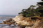 Kalifornische Pazifikk&uuml;ste - 17 Mile Drive